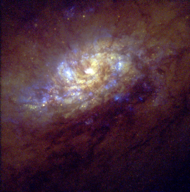 Galaxy NGC 1808