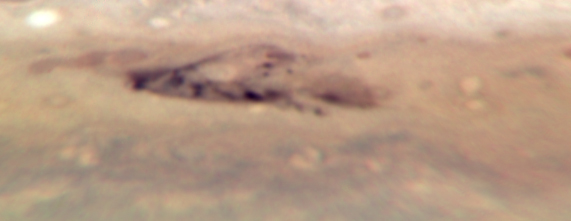 Impact Scar on Jupiter