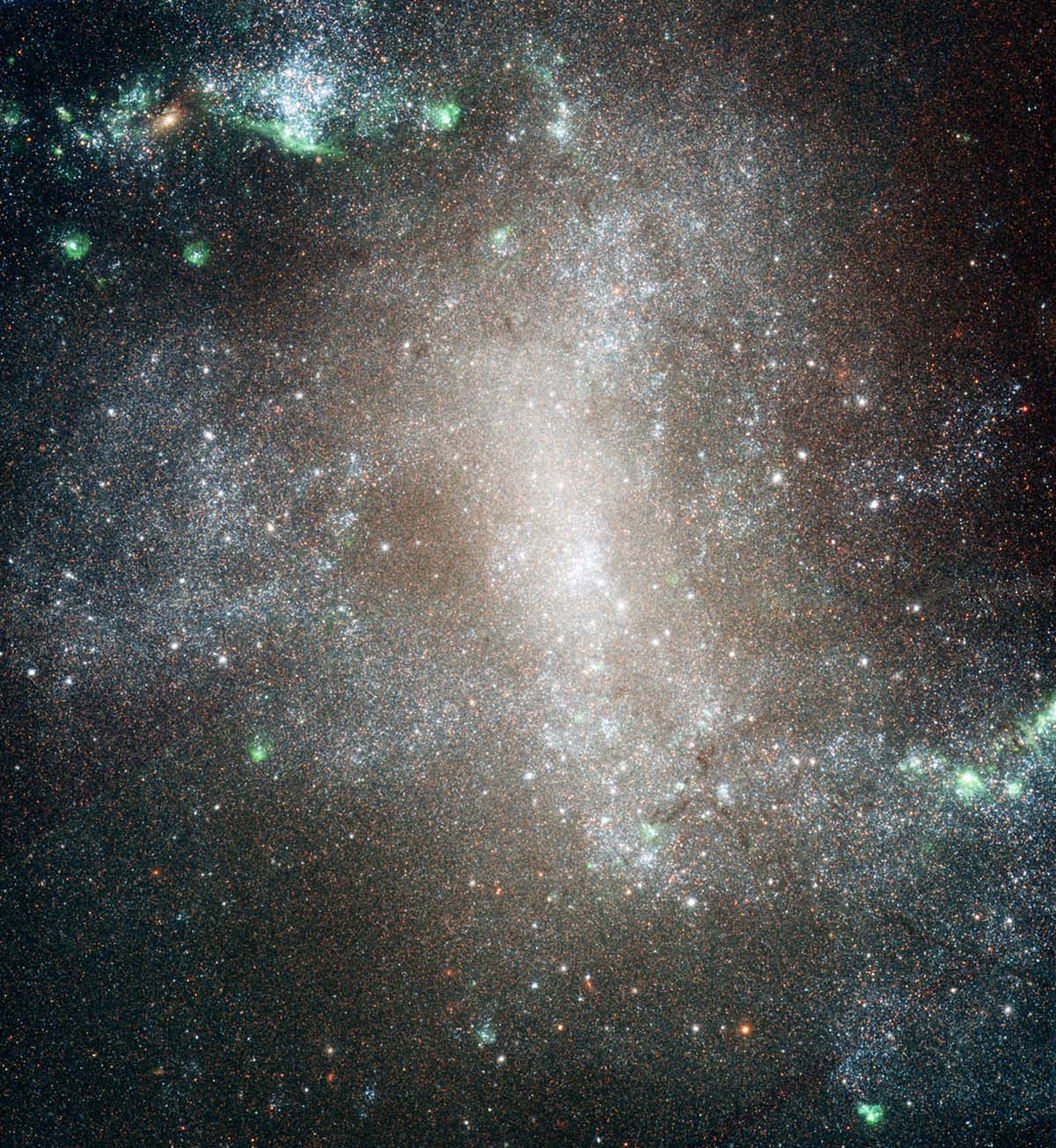 Spiral Galaxy NGC 1313