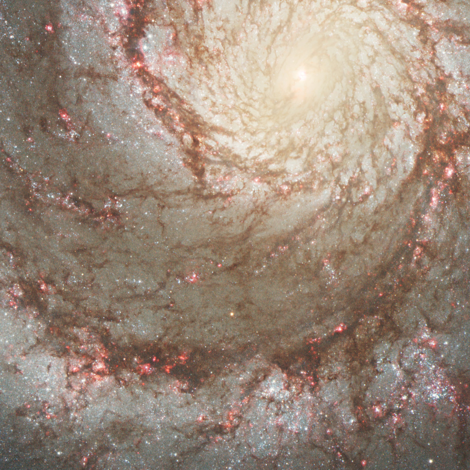 Whirlpool Galaxy