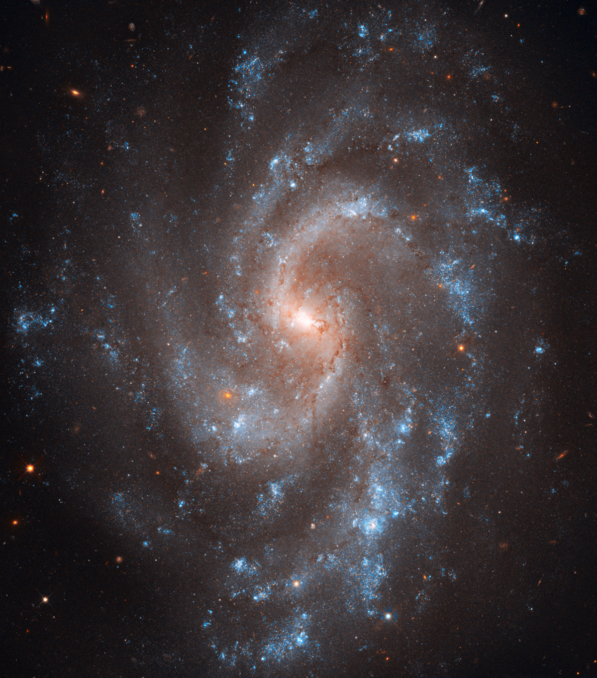 Galaxy NGC 5584