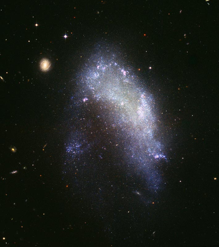Galaxy NGC 1427A