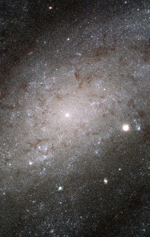Galaxy NGC 300
