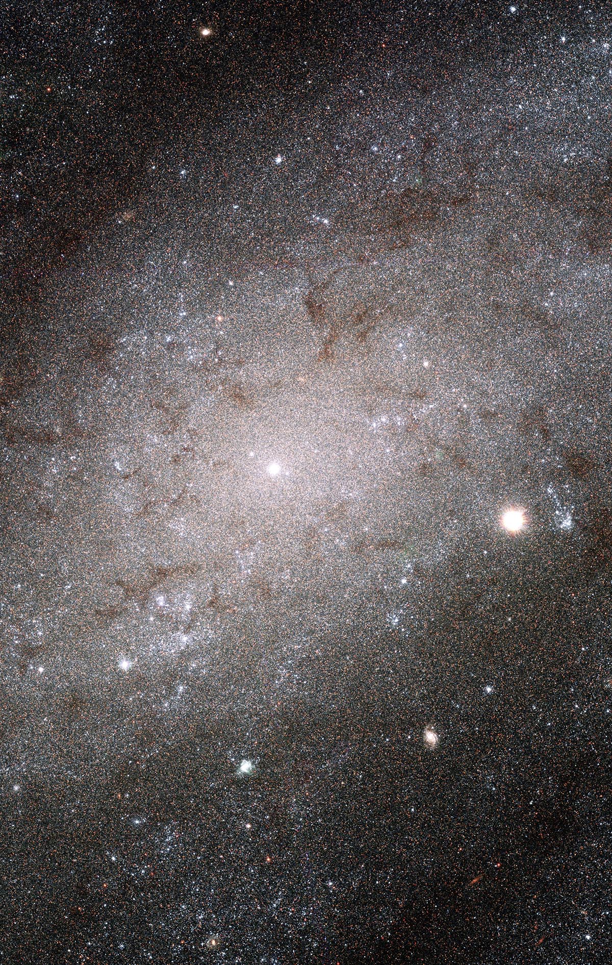 Galaxy NGC 300