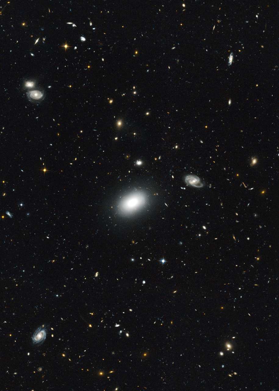 Galaxies in the Groth Strip