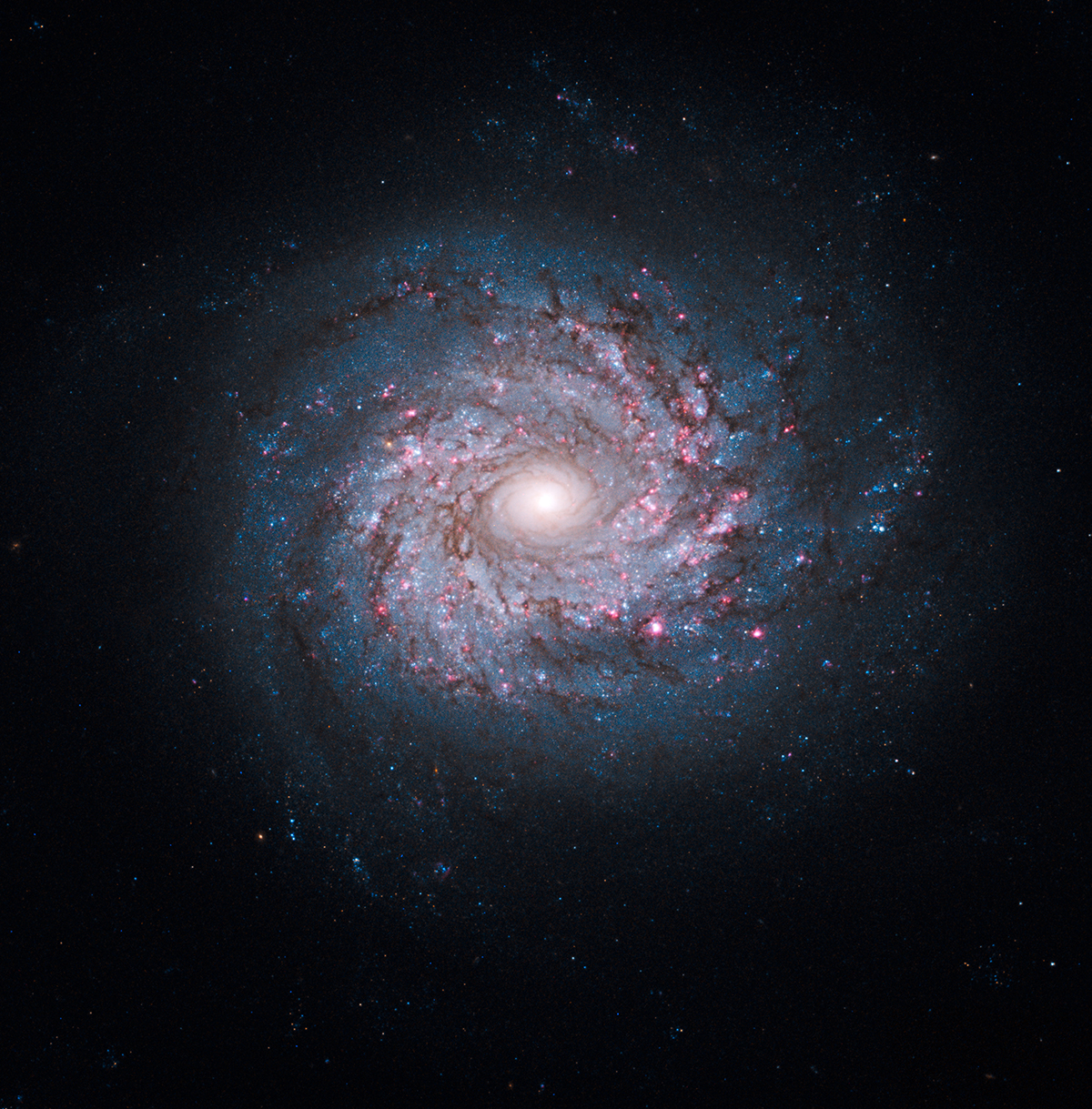 Galaxy NGC 3982
