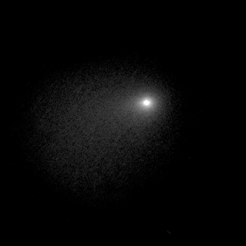 Comet Siding Spring