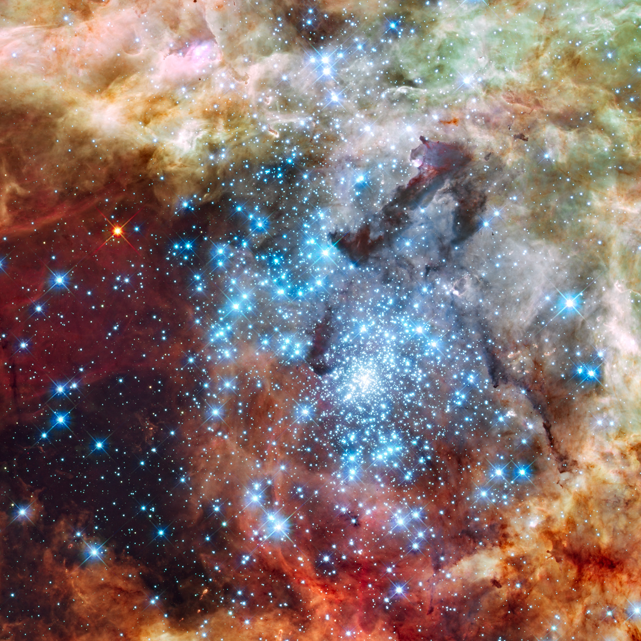 Star Clusters in the Tarantula Nebula