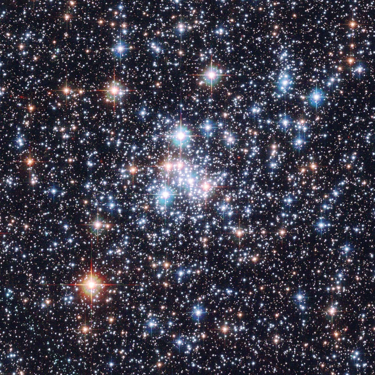 Star Cluster NGC 290
