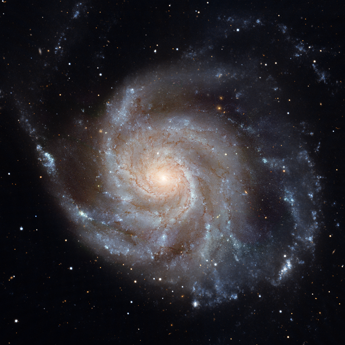 Pinwheel Galaxy