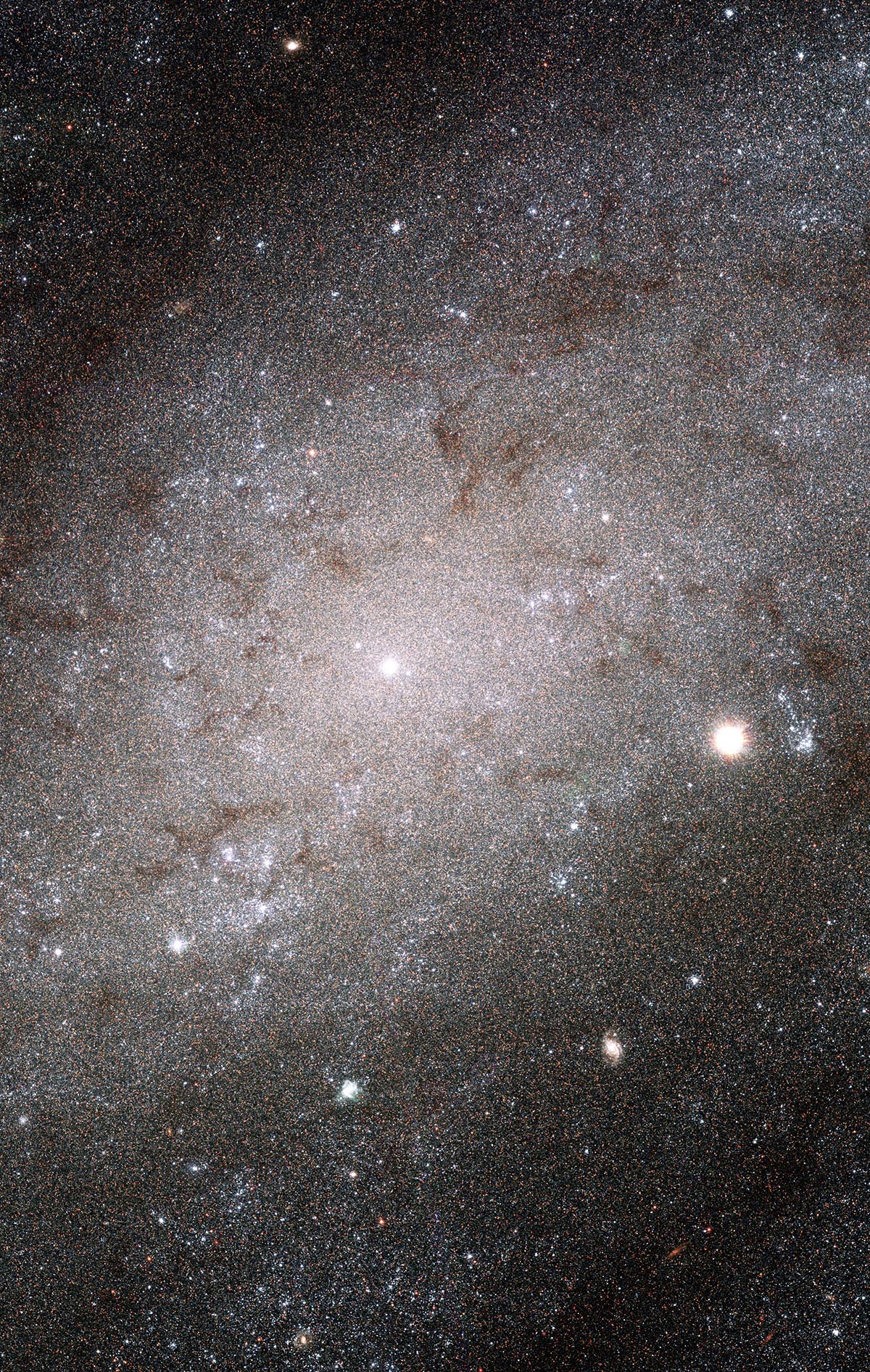 Galaxy NGC 300